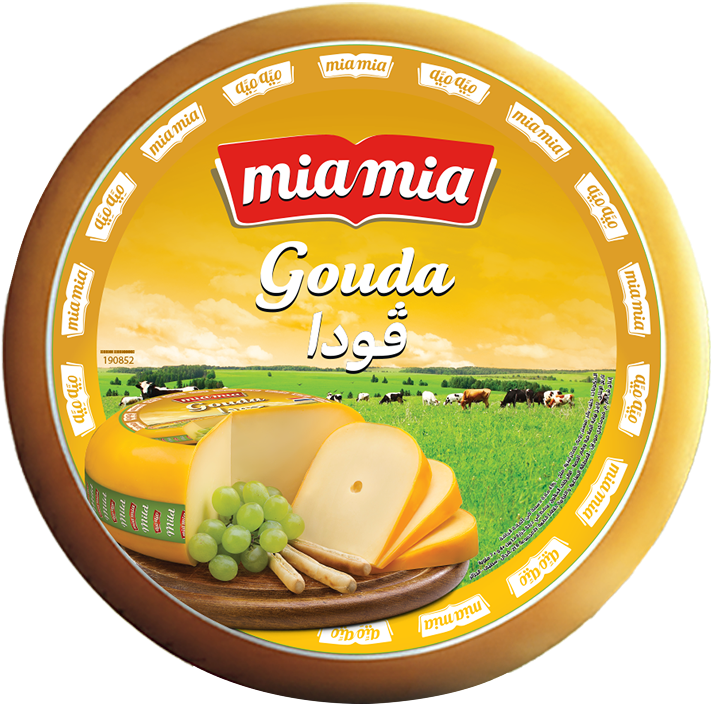 Gouda