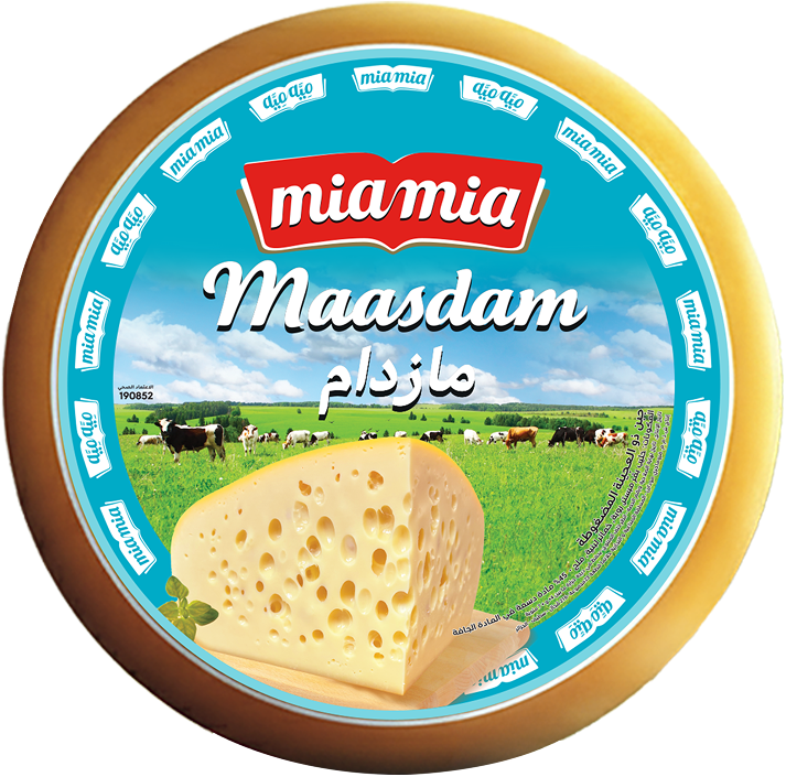 Maasdam